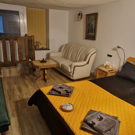 Ultracentral Garage Studio Бистрица Экстерьер фото